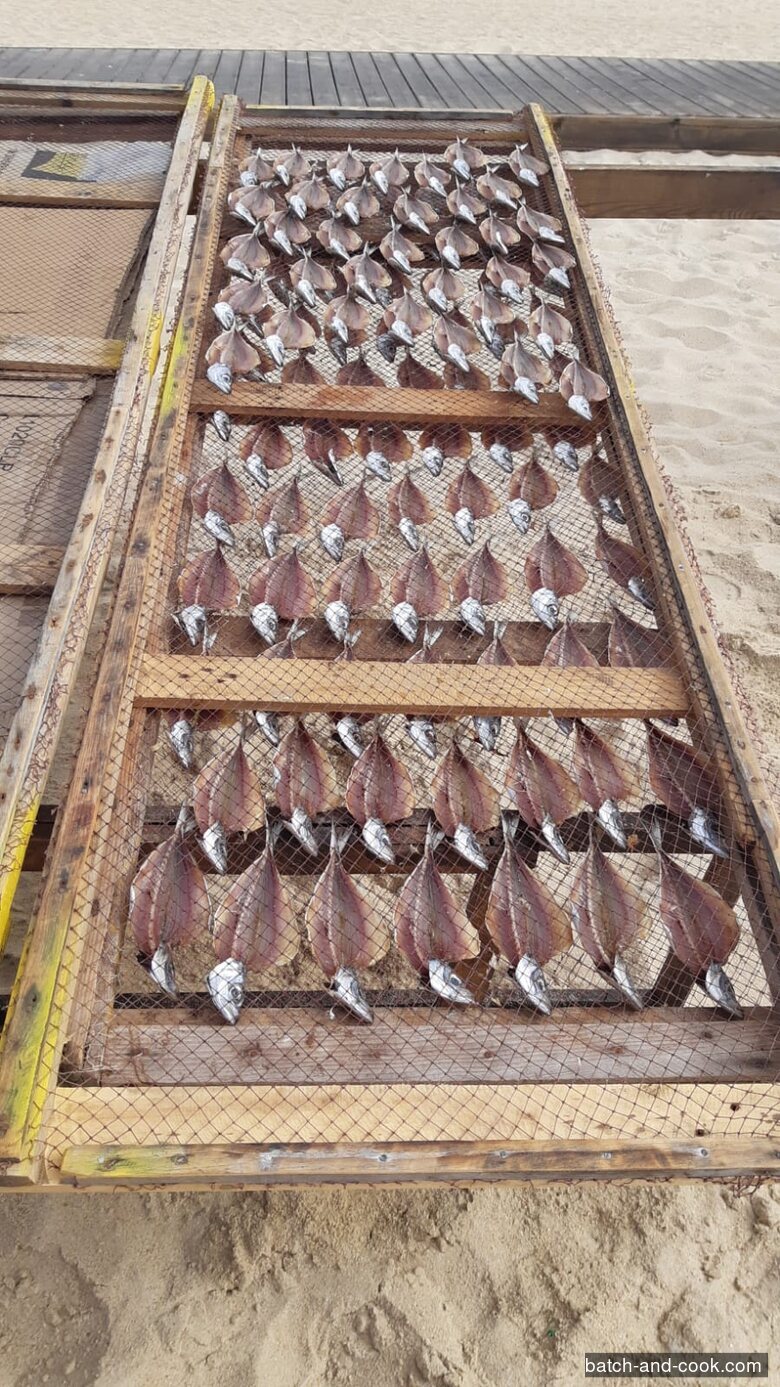 Carapaux ouverts en papillon, alignés en rangées serrées sur un paneiro pour sécher au soleil