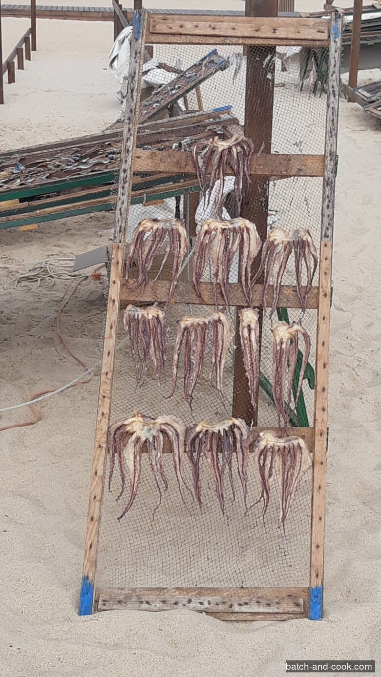 Poulpes entiers suspendus tentacules vers le bas sur un cadre à filet, en train de sécher sur la plage de Nazaré